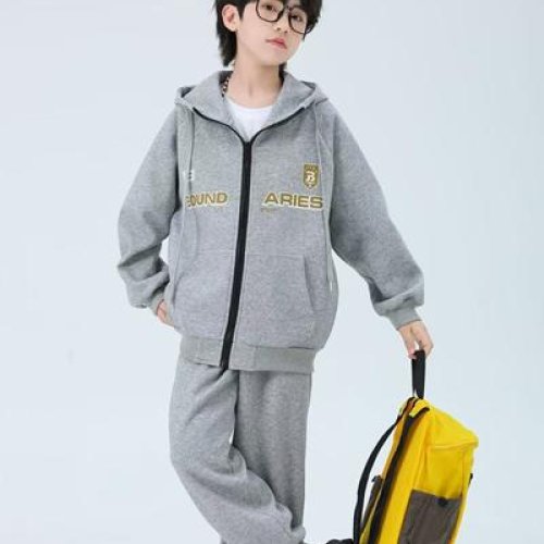 Костюм спорт Delfinka (134-152) 99037 grey (деми) Delfinka 99037 grey