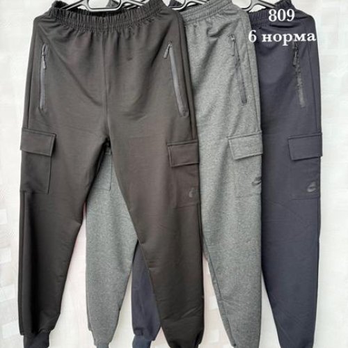 Штаны спорт Shon (46-54) 6 black (деми) Shon 6 black