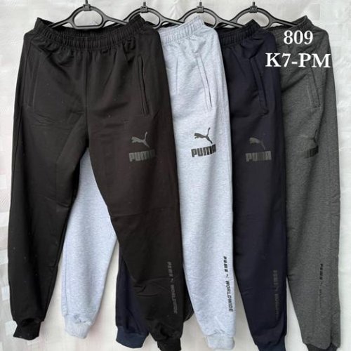 Штаны спорт Shon (46-54) K7PM grey (деми) Shon K7PM grey