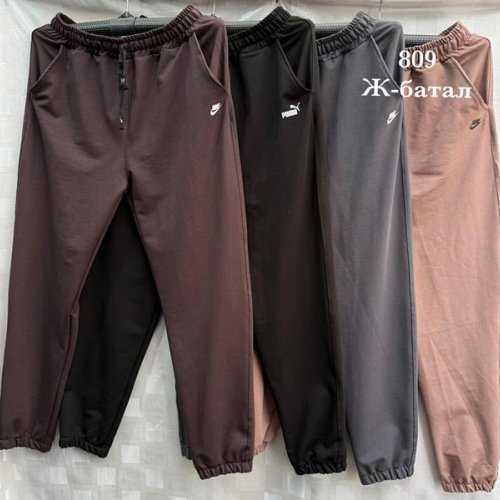 Штаны спорт Shon (52-60) Ж1 grey (деми) Shon Ж1 grey