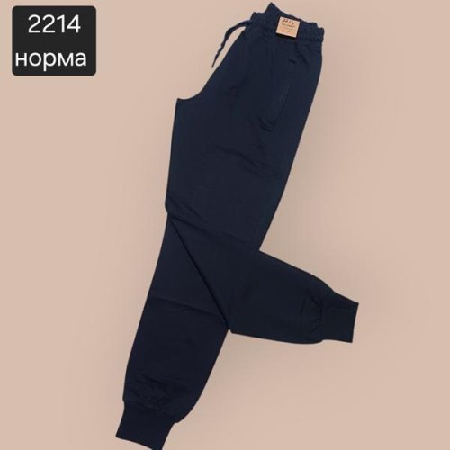 Штаны спорт Moranny (S-2XL) 2214 navy (деми) Moranny 2214 navy