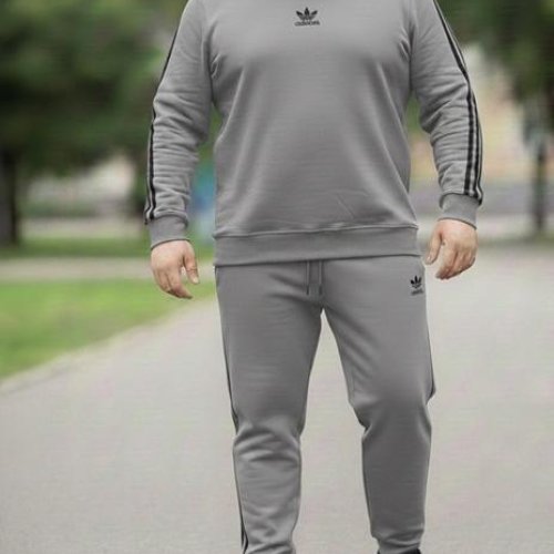 Костюм спорт Zalov (54-62) ZW1214 grey (деми) Zalov ZW1214 grey