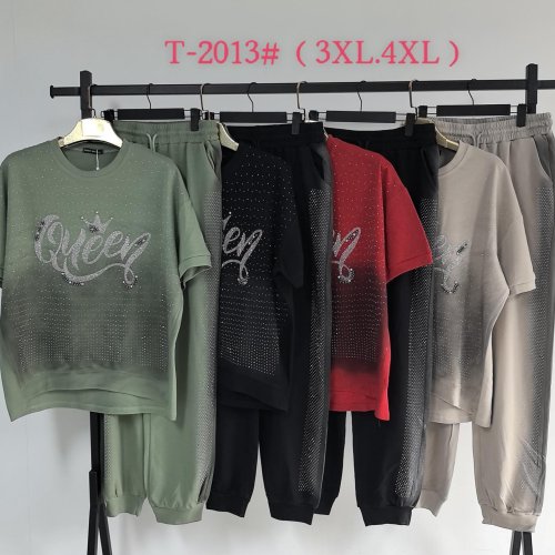 Костюм спорт Saint Wish (3XL-4XL) T2013 mix (лето) Saint Wish T2013 mix