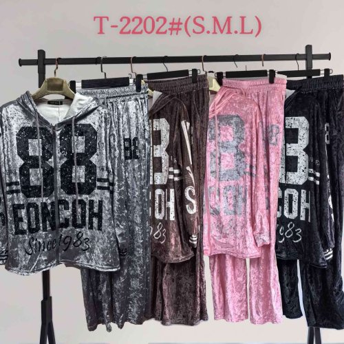 Костюм спорт Saint Wish (S-L) T2202 grey (деми) Saint Wish T2202 grey