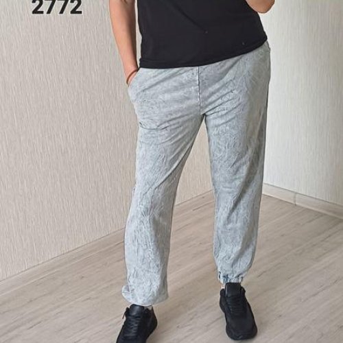 Штаны спорт FSN (48-54) 2772 l.grey (деми) FSN 2772 l.grey