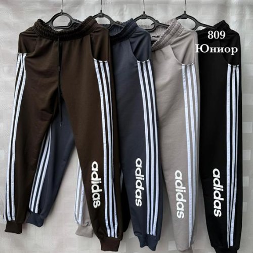 Штаны спорт Shon (40-48) S2578 grey (деми) Shon S2578 grey