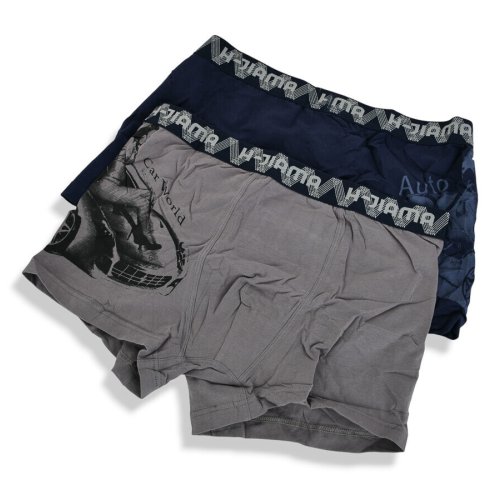 Трусы Textile (L-3XL) H6840 mix L-3XL (деми) Textile H6840 mix L-3XL