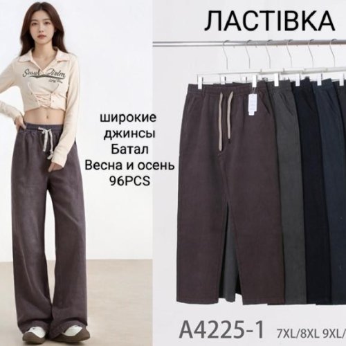 Штаны Giang (7XL-10XL) 4225-1 mix (деми) Giang 4225-1 mix