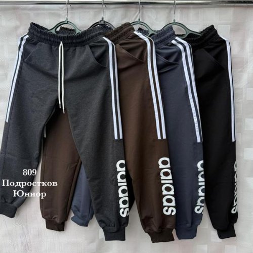 Штаны спорт Shon (40-48) S2606 grey (деми) Shon S2606 grey