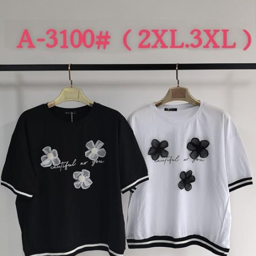 Футболка Saint Wish (2XL-3XL) A3100 mix (лето) Saint Wish A3100 mix