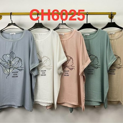 Футболка Saint Wish (5XL-6XL) CH6025 mix (лето) Saint Wish CH6025 mix