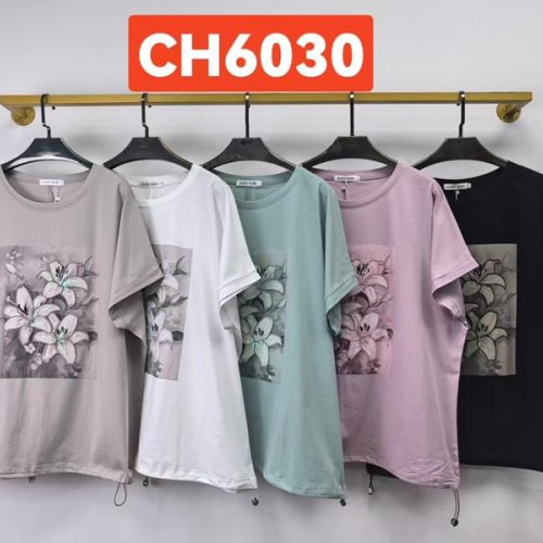 Футболка Saint Wish (3XL-4XL) CH6030 mix (лето) Saint Wish CH6030 mix