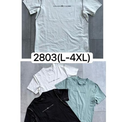 Футболка Ale-Ate (M-3XL) 2803 white (лето) Ale-Ate 2803 white