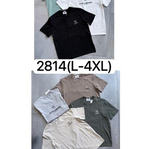 Футболка Ale-Ate (L-4XL) 2814 mint (лето) Ale-Ate 2814 mint