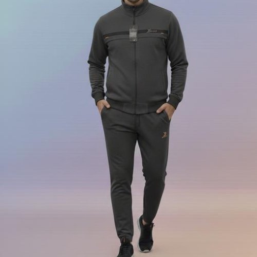 Костюм спорт Zalov (46-54) ZW1260 grey (деми) Zalov ZW1260 grey