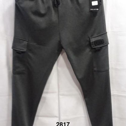 Штаны спорт Minh (M-3XL) 2817 grey (деми) Minh 2817 grey