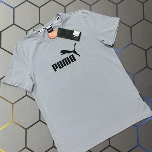 Футболка Alex Clothes (S-2XL) 13644 grey (лето) Alex Clothes 13644 grey