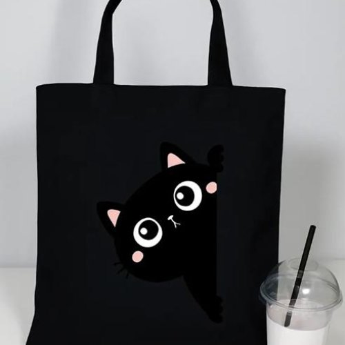 Сумка Luna-bag (40*34) 25-145 black (деми) Luna-bag 25-145 black