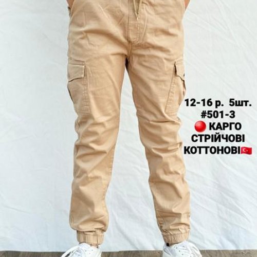 Джоггеры AMZ (12-16) 501-3 beige (деми) AMZ 501-3 beige