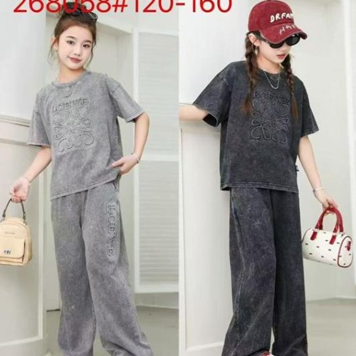 Костюм спорт Delfinka (120-160) 268058 grey (лето) Delfinka 268058 grey