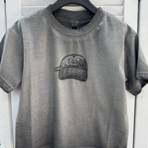 Футболка Delfinka (110-150) 3787 grey (лето) Delfinka 3787 grey