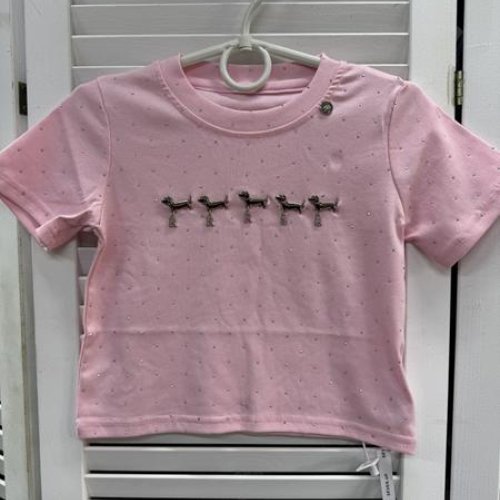 Футболка Delfinka (110-160) 66050 pink (лето) Delfinka 66050 pink