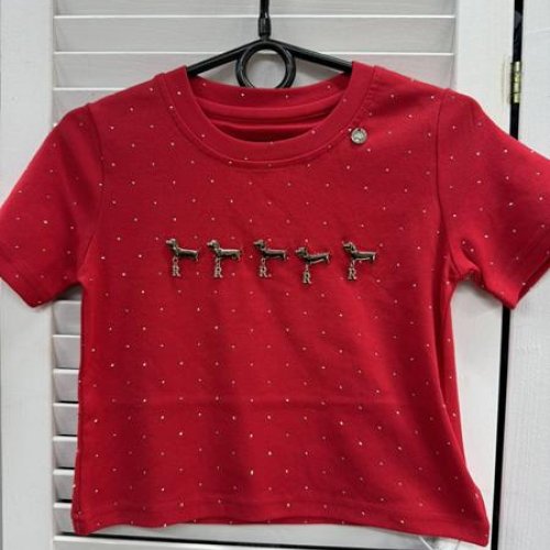 Футболка Delfinka (110-160) 66050 red (лето) Delfinka 66050 red