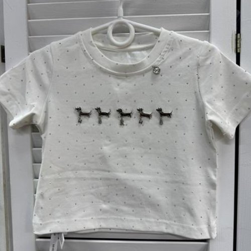 Футболка Delfinka (110-160) 66050 white (лето) Delfinka 66050 white