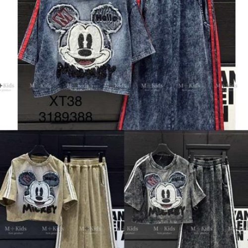 Костюм спорт Delfinka (120-170) XT38 d.grey (деми) Delfinka XT38 d.grey