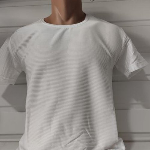 Футболка Panda (M-2XL) 1592 white (лето) Panda 1592 white