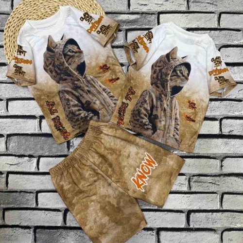 Костюм Dino (3-7) DN258 brown (лето) Dino DN258 brown