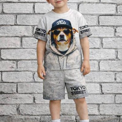 Костюм Dino (3-7) DN259 l.grey (лето) Dino DN259 l.grey