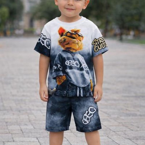 Костюм Dino (3-7) DN261 d.grey (лето) Dino DN261 d.grey