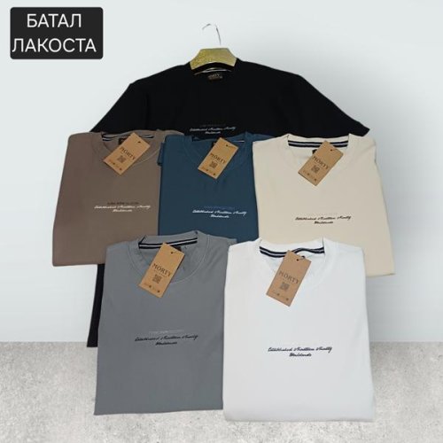 Футболка Moranny (2XL-6XL) MR1114 brown (лето) Moranny MR1114 brown