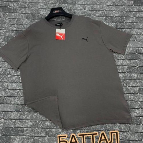 Футболка F.T.H (3XL-4XL) F1139 grey (лето) F.T.H F1139 grey