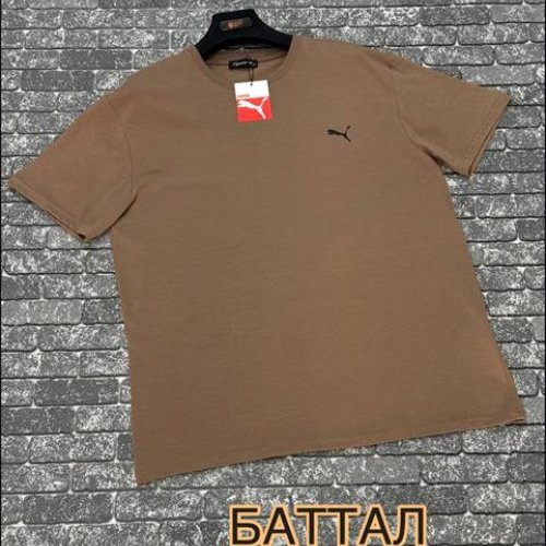 Футболка F.T.H (3XL-4XL) F1140 camel (лето) F.T.H F1140 camel