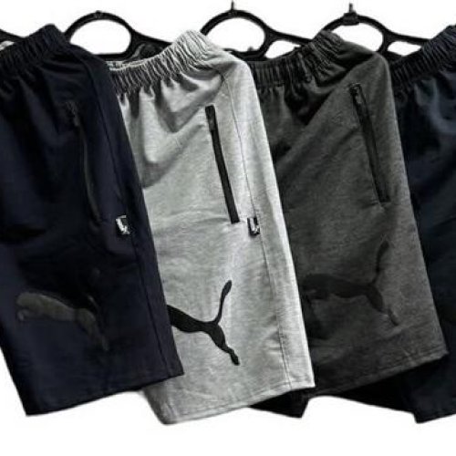 Шорты Essa (46-54) E951 grey (46-54) (лето) Essa E951 grey (46-54)