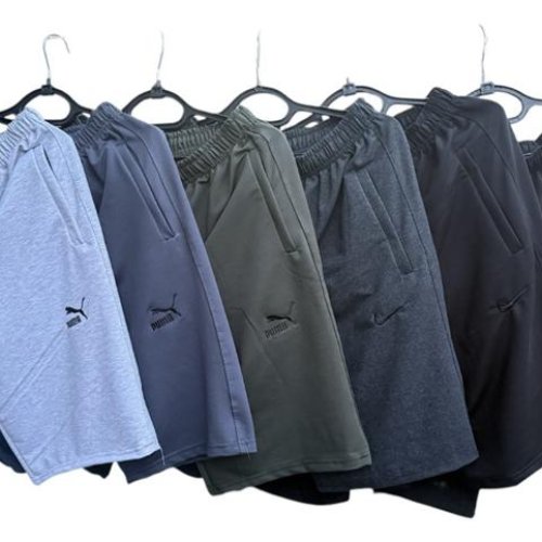 Шорты Essa (46-54) E958 l.grey (46-54) (лето) Essa E958 l.grey (46-54)