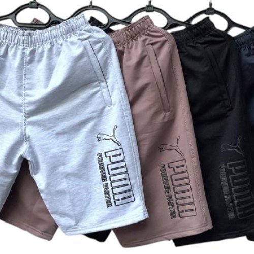 Шорты Essa (56-64) E880 powder (56-64) (лето) Essa E880 powder (56-64)