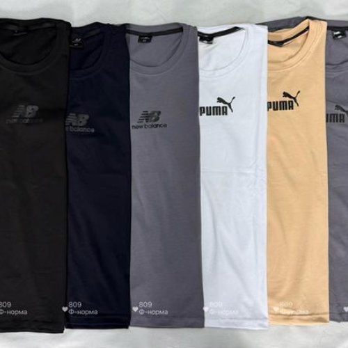 Футболка Shon (46-54) S2976 beige (лето) Shon S2976 beige