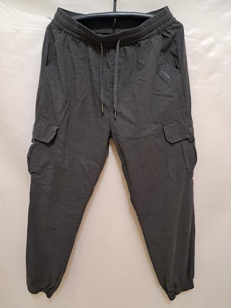 Штаны Giang (XL-5XL) 3002 grey (деми)