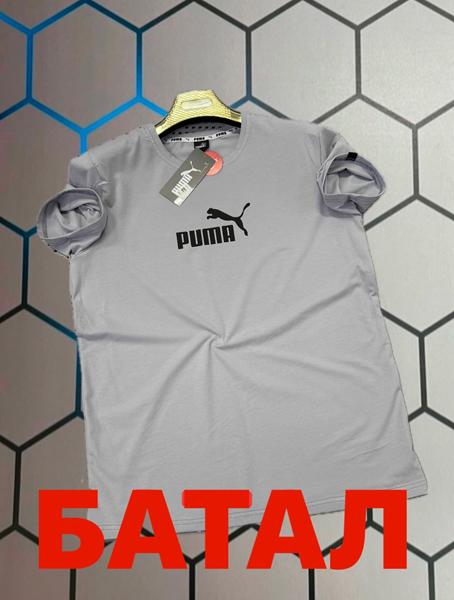 Футболка Alex Clothes (2XL-6XL) 13992 grey (лето)