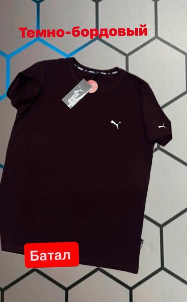 Футболка Alex Clothes (2XL-6XL) 13995 wine (лето)