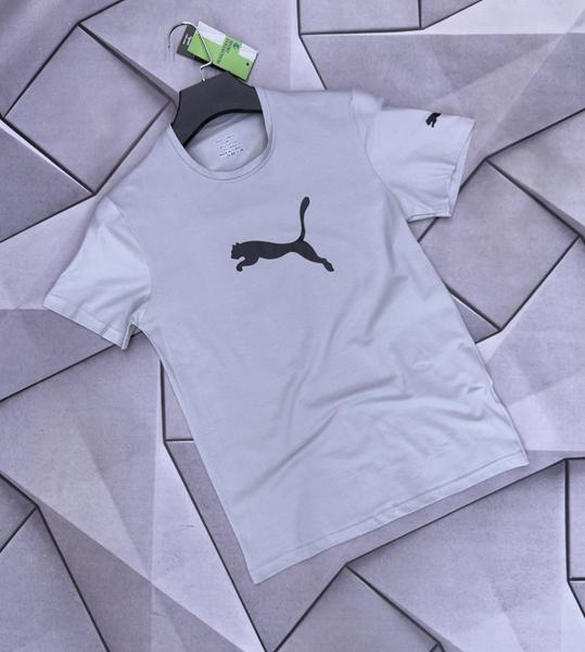 Футболка Verton (S-2XL) W26844 grey (лето)