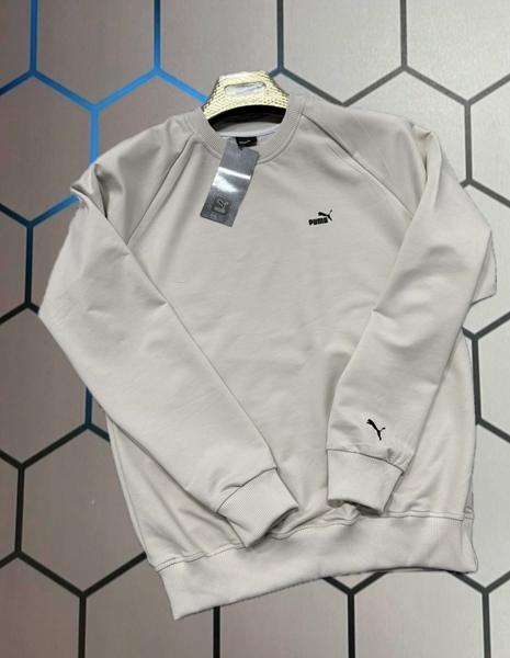 Свитер Alex Clothes (S-2XL) 14031 grey (деми)