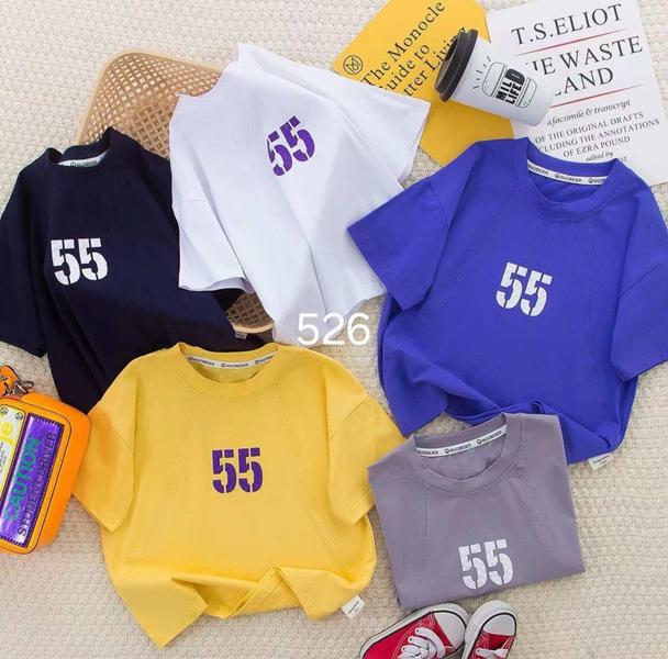 Футболка Фунтик (5-9) 526 grey (лето)