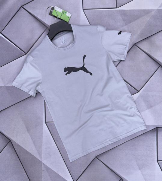 Футболка Rassul (S-2XL) 66560 grey (лето)