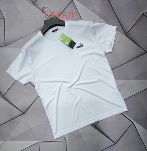 Футболка Rassul (2XL-6XL) 66684 white (лето)