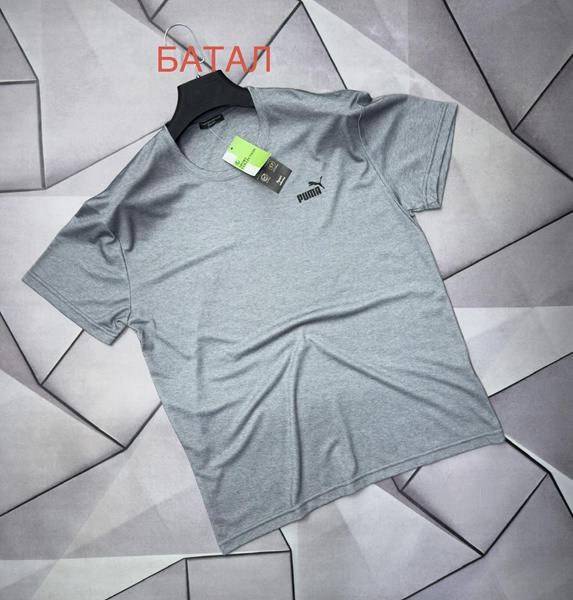 Футболка Rassul (2XL-6XL) 66686 grey (лето)