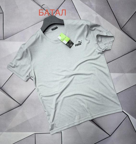 Футболка Rassul (2XL-6XL) 66687 grey (лето)